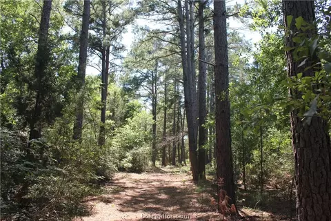 12380 Post Oak Ln, Bryan, TX 77807 photo 5