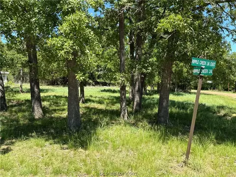 Tbd Ripple Creek Drive E, Somerville, TX 77879