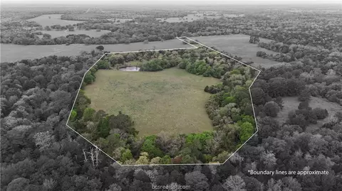 Tbd St Delight, Paige, TX 78659