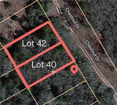 lot S 40 42 Chestnut Dr, Caldwell, TX 77836