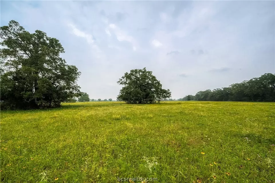  00 Fellowship Ln, Madisonville, TX 77864 photo 19