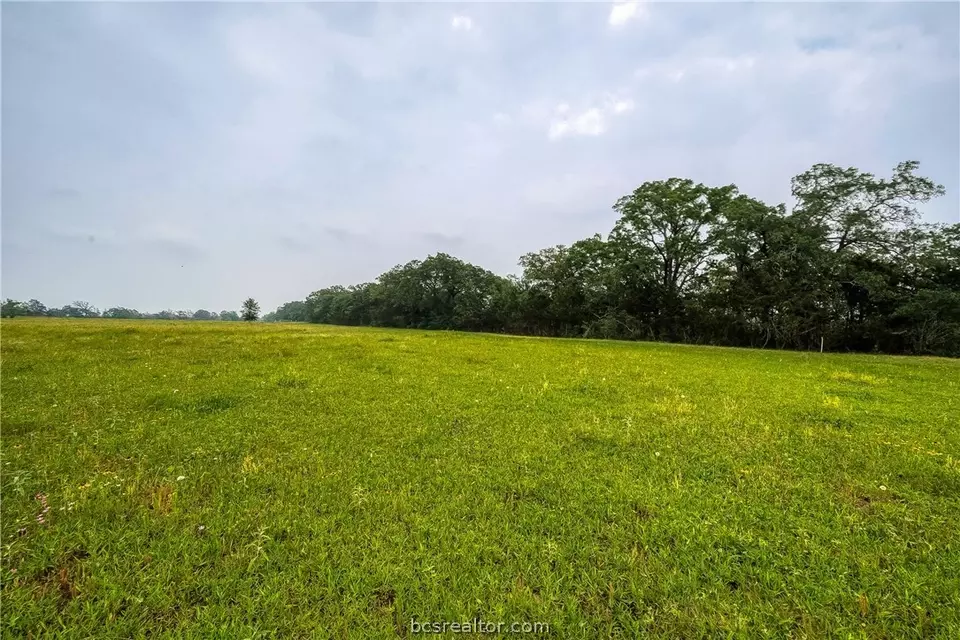  00 Fellowship Ln, Madisonville, TX 77864 photo 15