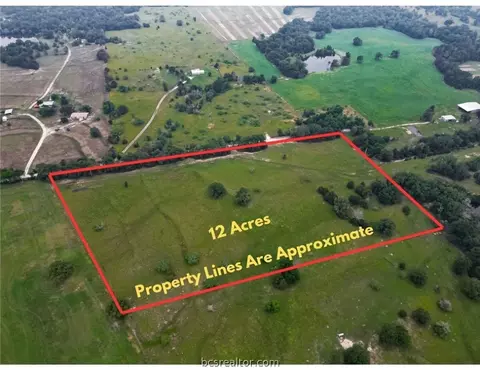 00 Fellowship Ln, Madisonville, TX 77864