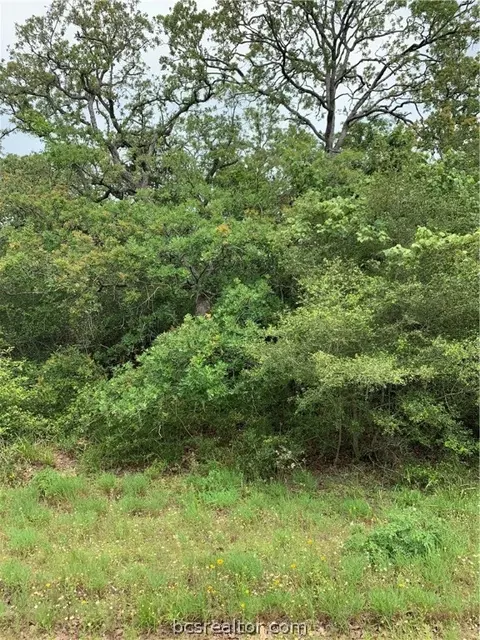 175 Orange, Somerville, TX 77879