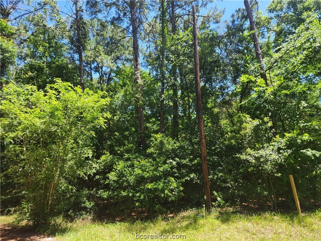 lot1 Pineknoll Dr