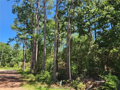 lot1 Coral Bean Ln, Plantersville, TX 77363