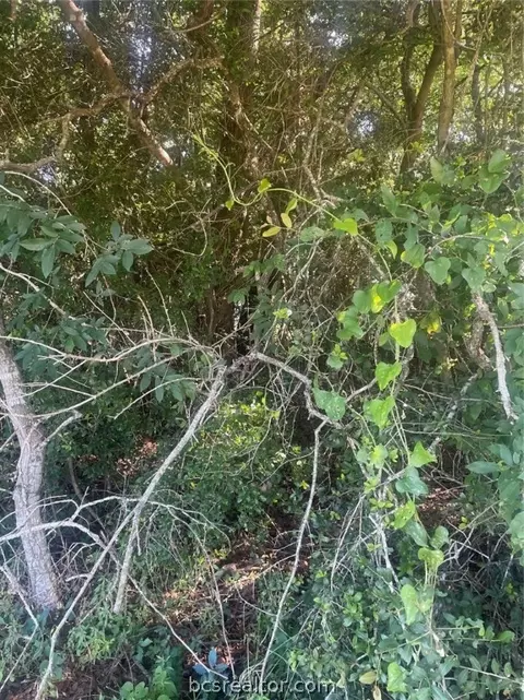 Tbd Lakeside Drive, Caldwell, TX 77836
