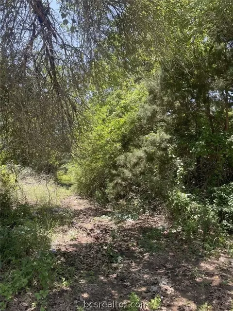 Tbd1 Cherry Drive, Caldwell, TX 77836