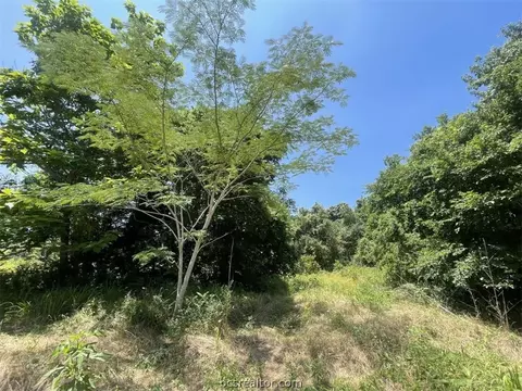 Tbd2 Cherry Drive, Caldwell, TX 77836