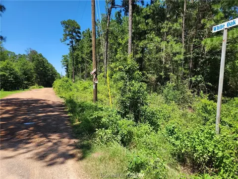 Lot 42 White Oak Drive, Plantersville, TX 77363