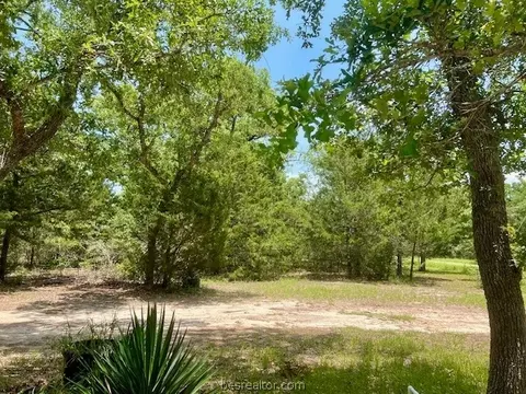 607 Deer Run Trl, Somerville, TX 77879