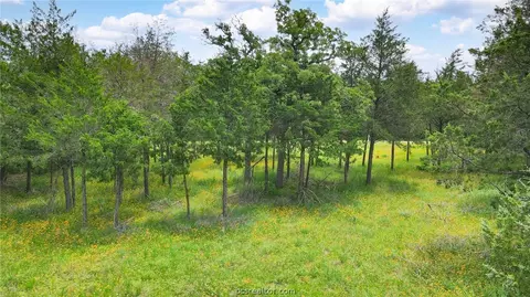 223 Overlook, Somerville, TX 77879 photo 4
