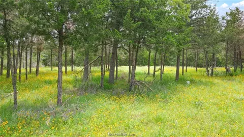 223 Overlook, Somerville, TX 77879 photo 5