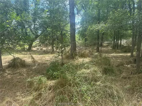 tbd W Mitchell, Calvert, TX 77837 photo 3