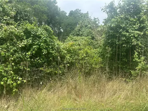 tbd W Mitchell, Calvert, TX 77837 photo 2
