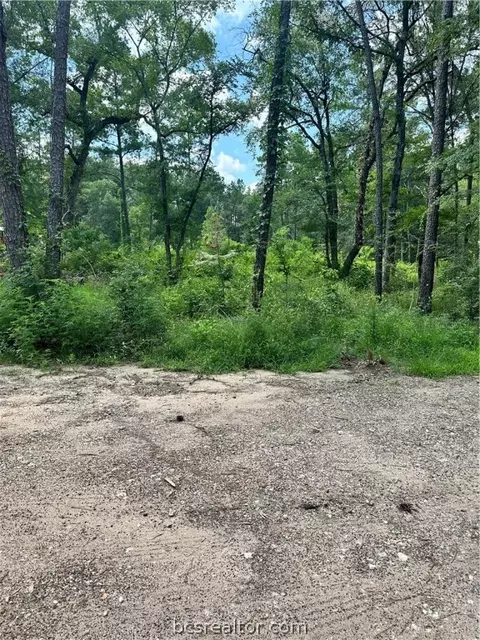 tbd Yellow Poplar Ln, Plantersville, TX 77363