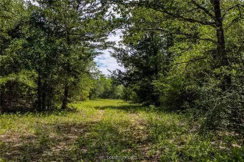 tbd County Road 229, Caldwell, TX 77836