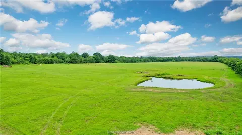 8557 County Road 313, Plantersville, TX 77363 photo 42
