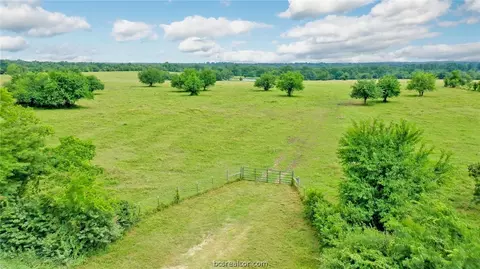 8557 County Road 313, Plantersville, TX 77363 photo 38
