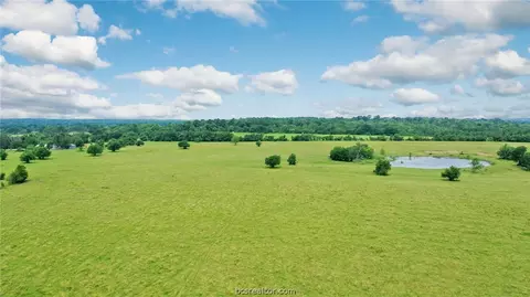 8557 County Road 313, Plantersville, TX 77363 photo 36