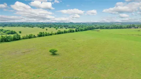 8557 County Road 313, Plantersville, TX 77363 photo 39