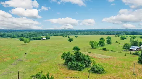 8557 County Road 313, Plantersville, TX 77363 photo 33