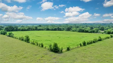 8557 County Road 313, Plantersville, TX 77363 photo 37