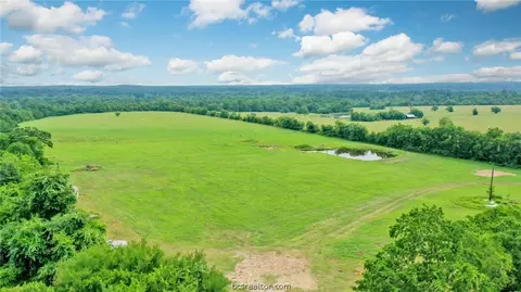 8557 County Road 313, Plantersville, TX 77363 photo 43