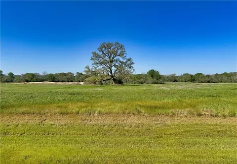 10022 Hidden Pond Dr, Iola, TX 77861