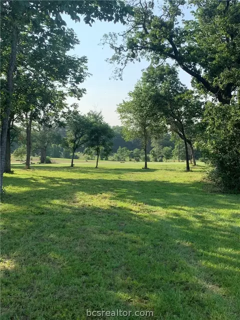 10256 Henley Cv, Iola, TX 77861