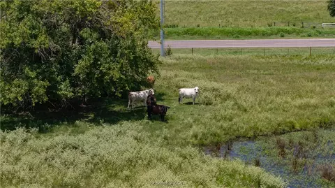 Tbd Fm-974, Bryan, TX 77808 photo 17