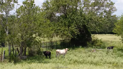 Tbd Fm-974, Bryan, TX 77808 photo 20