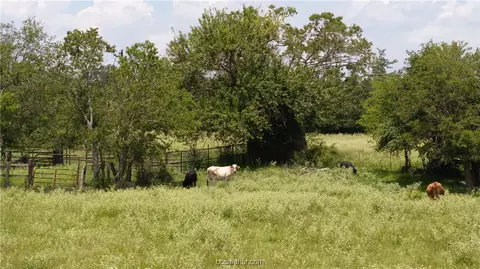 Tbd Fm-974, Bryan, TX 77808 photo 22