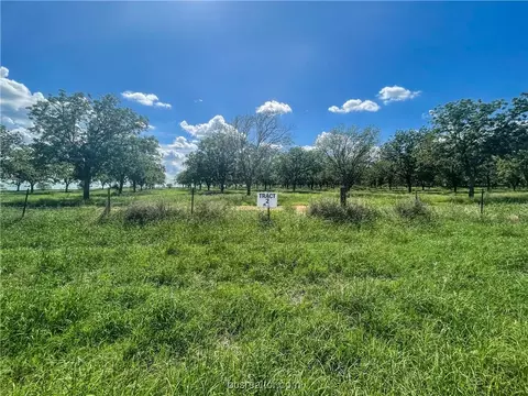 Tr 6 Fm 1784, Other, TX 78064