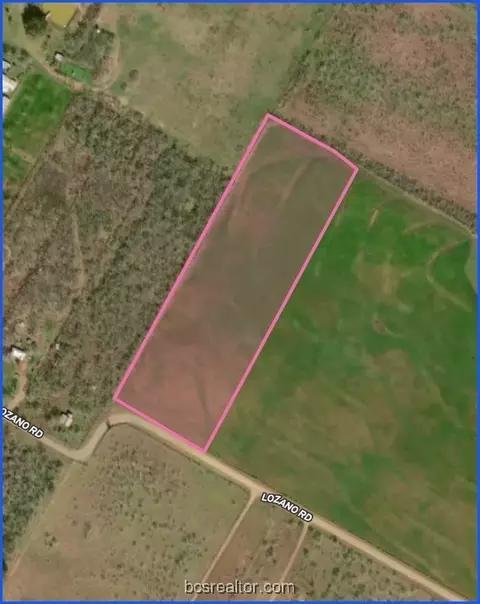 Tr 1 Lozano Road, Other, TX 78065