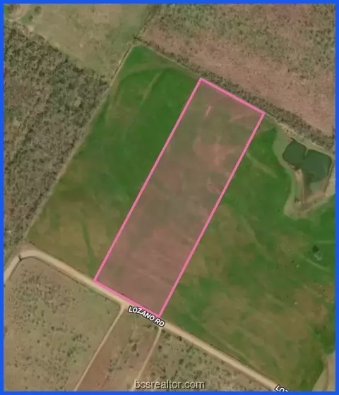 Tr 2 Lozano Road, Other, TX 78065