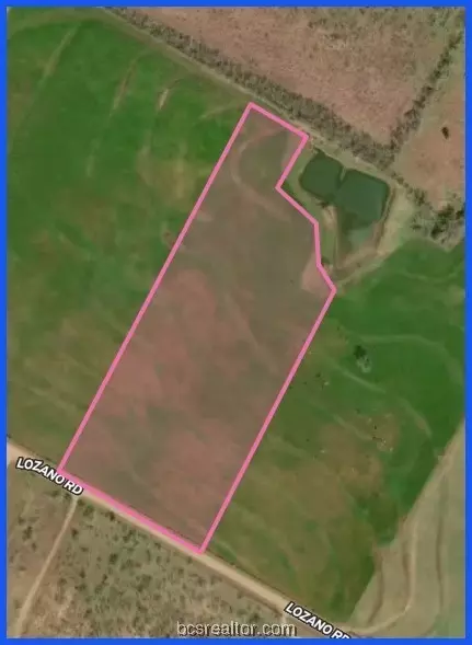 Tr 3 Lozano Road, Other, TX 78065
