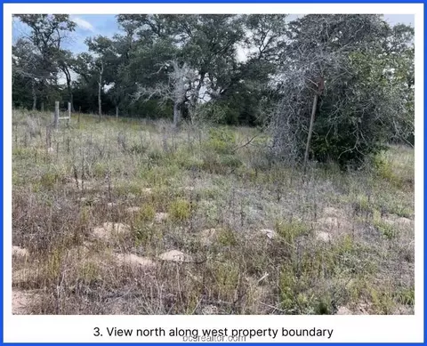 Tr 4 Nockenut Road, Other, TX 78155