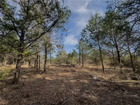 lot92 Lois Lane St, Somerville, TX 77879