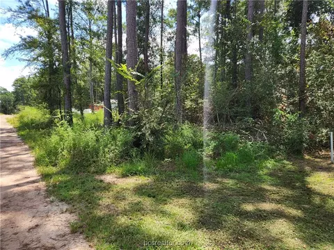 lot7 Coral Bean Ln, Plantersville, TX 77363