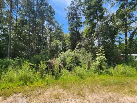 lot4 Coral Bean Ln, Plantersville, TX 77363