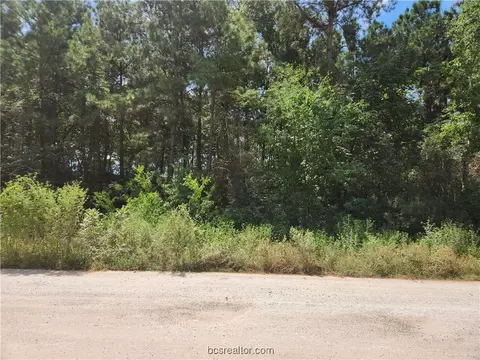 lot5 Tawnyberry Ln, Plantersville, TX 77363