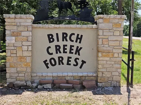 205 Shadow Oak Ln, Somerville, TX 77879 photo 38