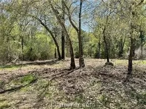 2209 Lobo Dr, Bryan, TX 77807