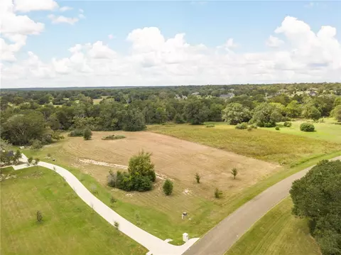 10171 St John Dr, Iola, TX 77861 photo 3