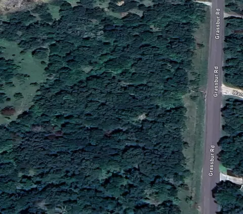 tbd Lot 2 Grassbur Rd, Bryan, TX 77808 photo 9