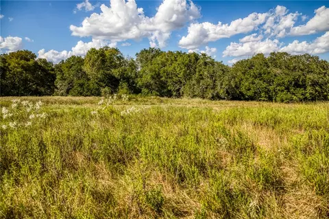 Other - 5455 Wolff Rd, Round Top, TX 78954 photo 6 of 10