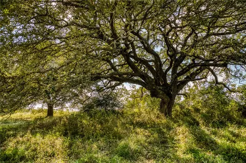 Other - 5455 Wolff Rd, Round Top, TX 78954 photo 8 of 10
