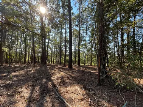 21850 21849 Forest View Dr, Navasota, TX 77868
