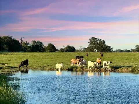 tbd Tx-21, Madisonville, TX 77864